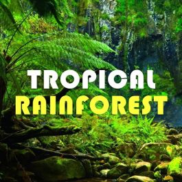 Tropical Forest（トロピカルフォレスト）リキッド - ノンニコチン