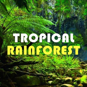 Tropical Forest(トロピカルフォレスト)リキッド