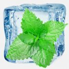 Ultra　Menthol（ウルトラメンソール）リキッド